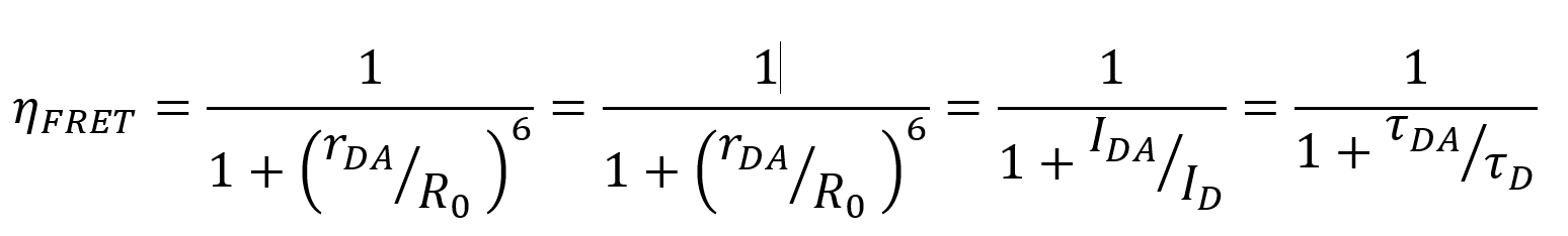 FRET Equations