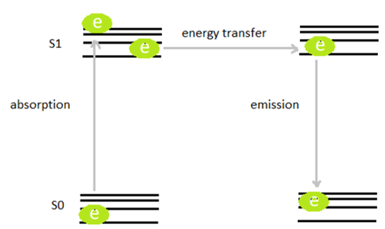 FRET energy scheme