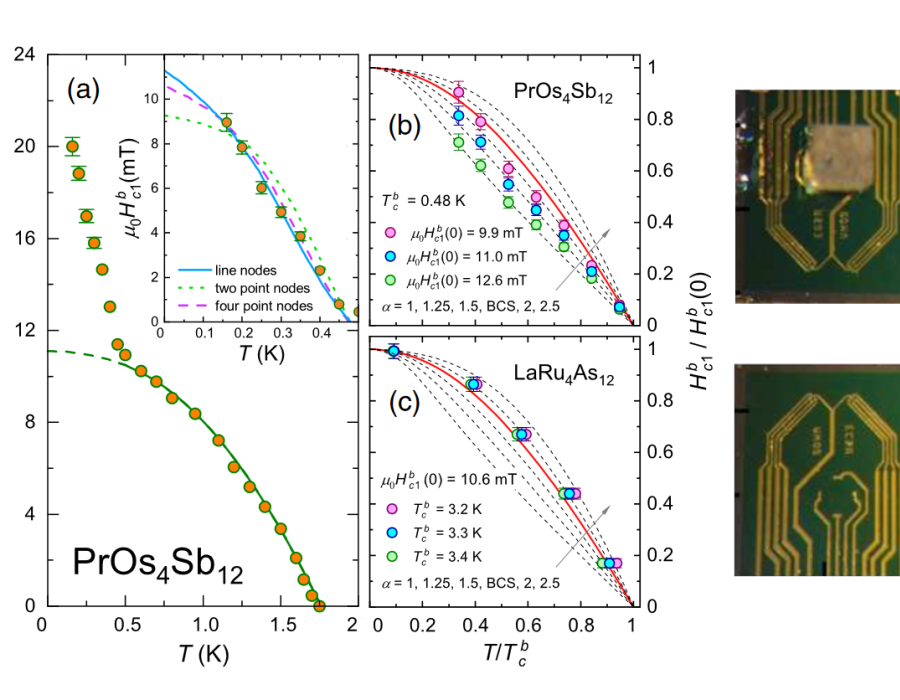 Symmetry of Order Parameters in Multiband Superconductors LaRu4As12 and PrOs4Sb12 Probed by Local Magnetization Measurements