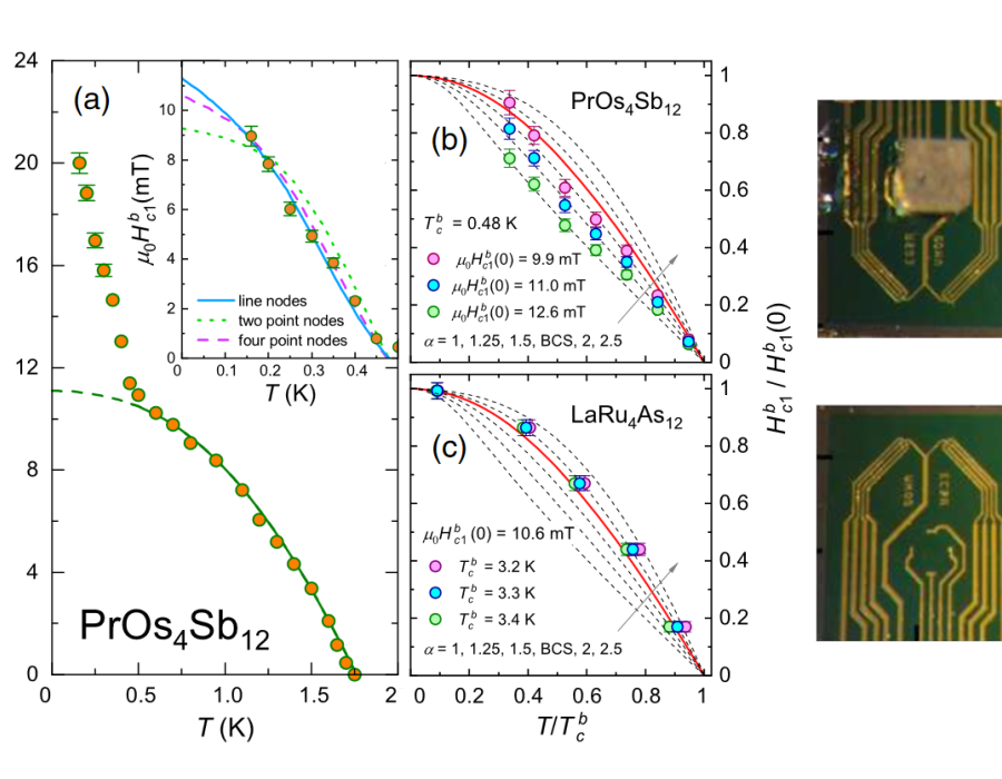 Symmetry of Order Parameters in Multiband Superconductors LaRu4As12 and PrOs4Sb12 Probed by Local Magnetization Measurements