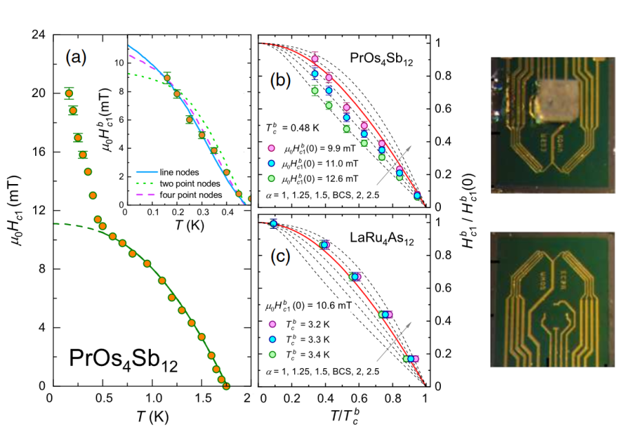 Symmetry of Order Parameters in Multiband Superconductors LaRu4As12 and PrOs4Sb12 Probed by Local Magnetization Measurements