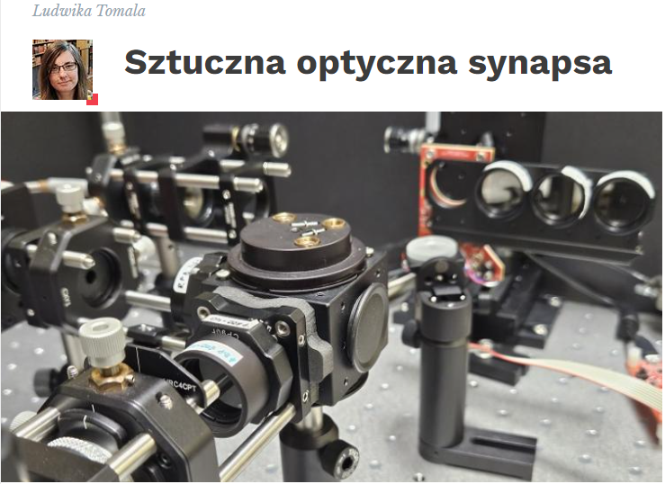 SynapsaPAP.jpeg