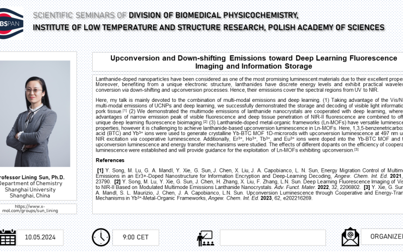 Seminar by prof. Lining Sun